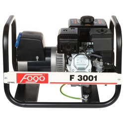 Groupe électrogène FH3001 230V 50HZ - Monophasé HONDA GX270