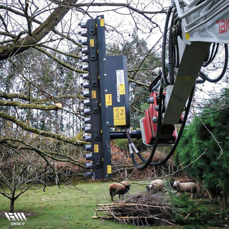 taille haie pour une coupe précise