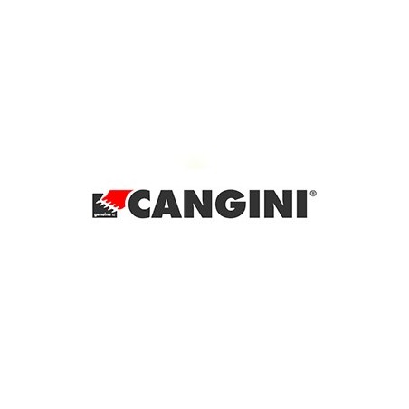 CANGINI BENNE